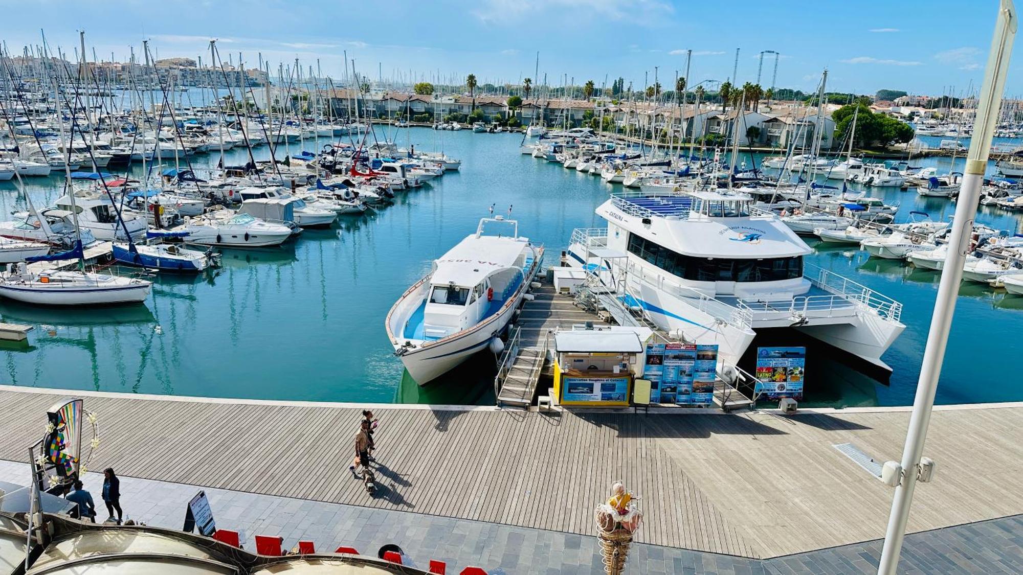 Studio Face Au Port Agde Eksteriør billede